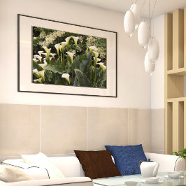 White Calla Lilies Blommigt Photographic Poster