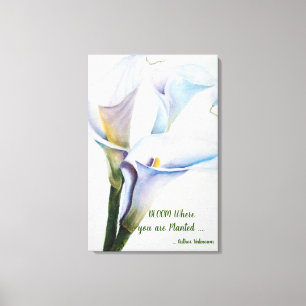 White Calla Lilies in Watercolor Canvastryck