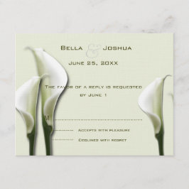 White Calla Lillies OSA