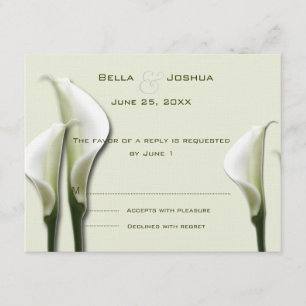 White Calla Lillies OSA Kort