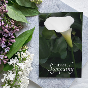 White Calla Lily Blommigt Sympathy Kort