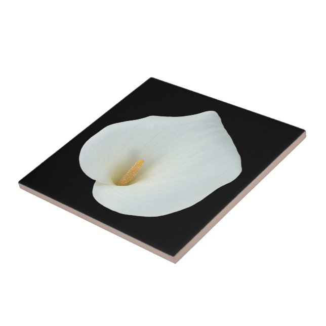 White Calla Lily Flower Backyard Garden Photo Kakelplatta (Sidan)