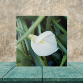White Calla Lily och Grönt Foliage Blommigt Kakelplatta