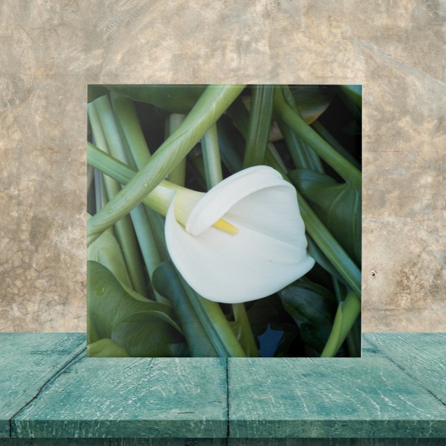 White Calla Lily och Grönt Foliage Blommigt Kakelplatta (In Situ)