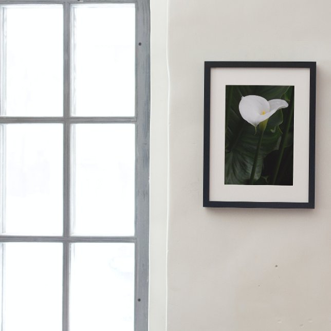 White Calla Lily och Mörk Lövs Blommigt Fototryck (In Situ Framed)