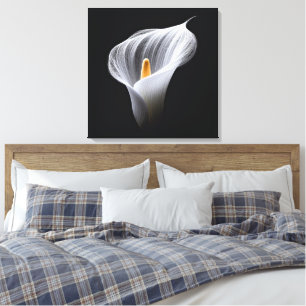 White Calla Lily On Black Canvastryck