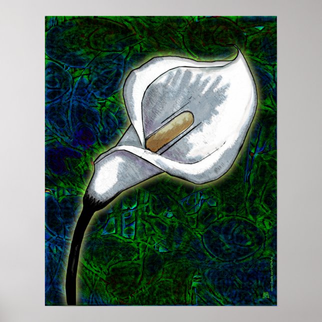 White Calla Lily (Semi-Gloss Poster) Poster (Framsidan)
