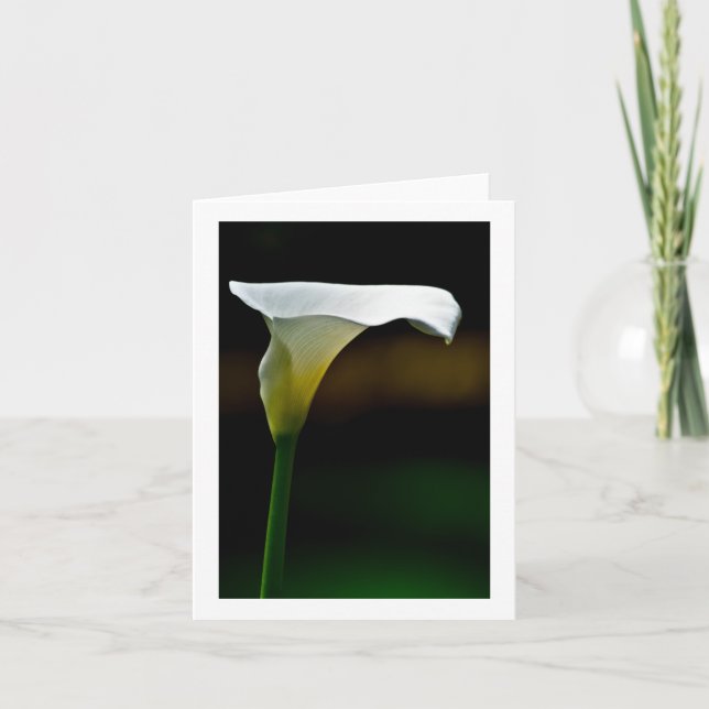 White Calla Lily Stationary Anteckningskort (Framsida)