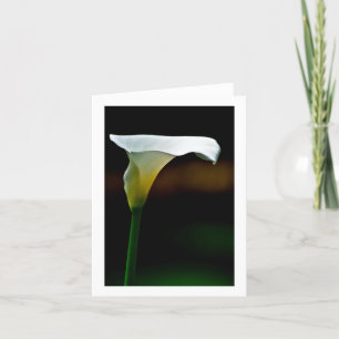 White Calla Lily Stationary Anteckningskort