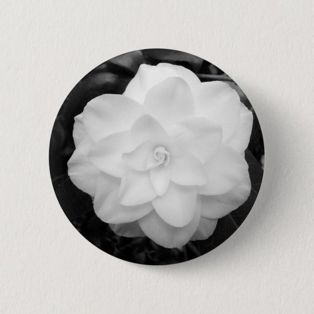 White Camellia Knapp (Framsida)