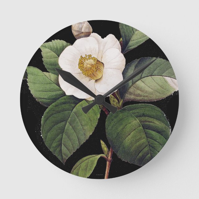 White Camellia Rund Klocka (Framsida)