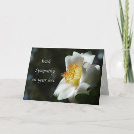 "White Camellia Sympathy." Kort för hälsning