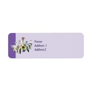 White Cattleya Orchids Returadress Etikett