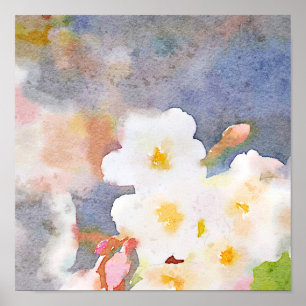 White Cherry Blommars Digital Watercolor Painting Poster