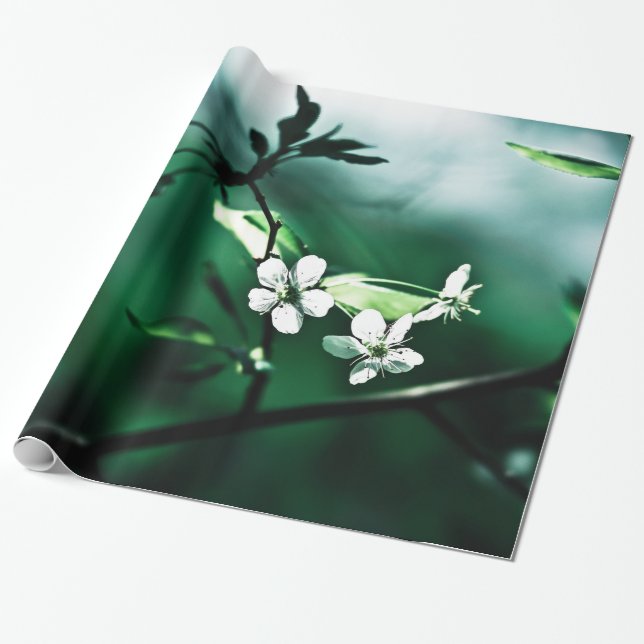 White Cherry Blommars Presentpapper (Utrullad)