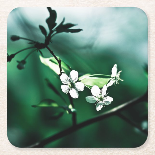 White Cherry Blommars Underlägg Papper Kvadrat (Framsidan)