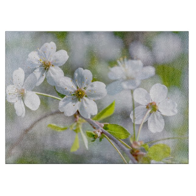 White Cherry Flower (Framsidan)