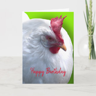 White Chicken Birthday Kort