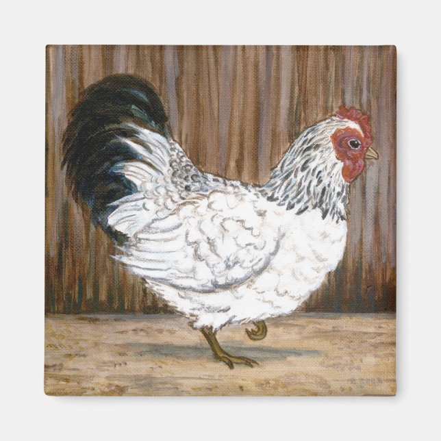 White Chicken Magnet (Framsidan)
