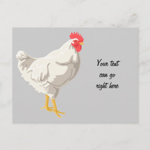 White Chicken Vykort