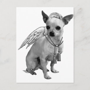 White Chihuahua Angel Vinge Vykort