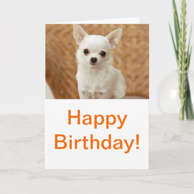 White Chihuahua Kort (Framsida)