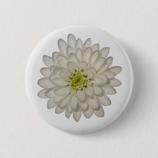 White Chrysanthemum Button Knapp