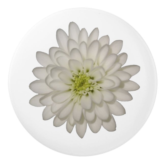 White Chrysanthemum Ceramic Knob Knopp (Framsidan)