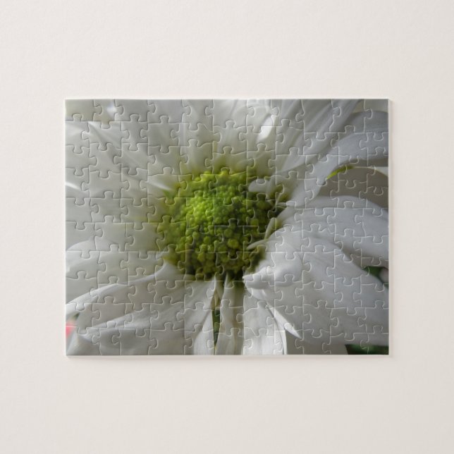 White Chrysanthemum Puzzle Pussel (Horisontell)