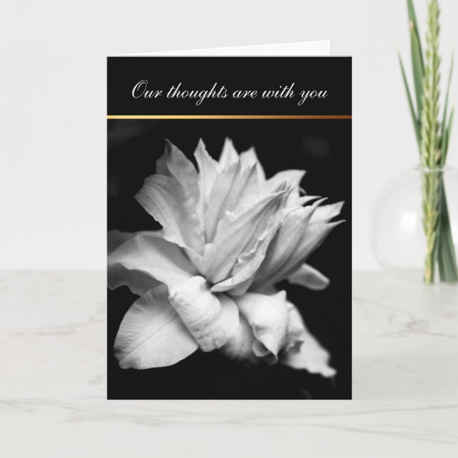 White Clematis 1 Condolences Sympathy Card Tack Kort (Framsida)