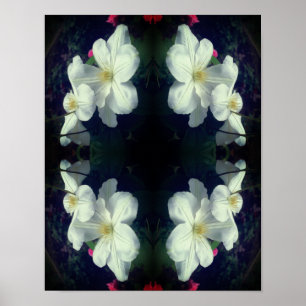 White Clematis Flower Pair Abstrakt Poster