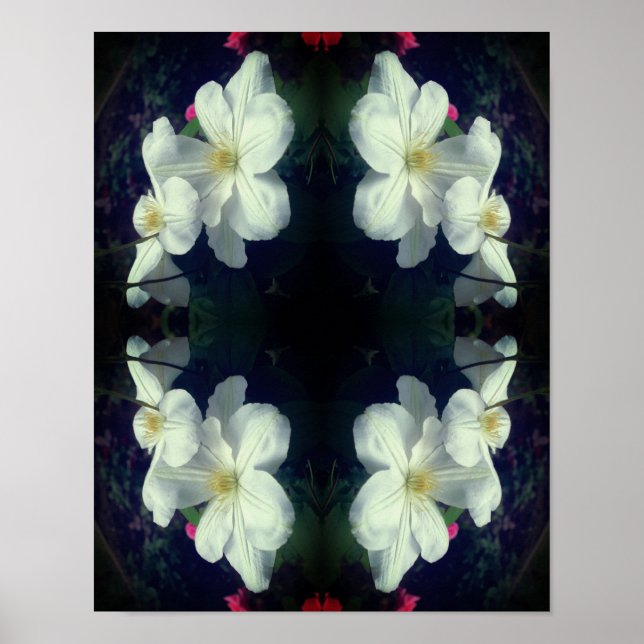 White Clematis Flower Pair Abstrakt Poster (Framsidan)