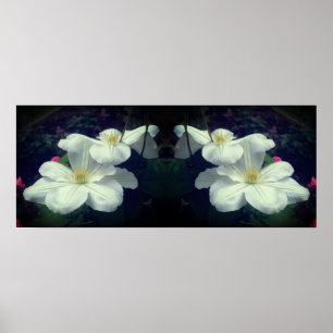 White Clematis Flowers Spegel Abstrakt Poster