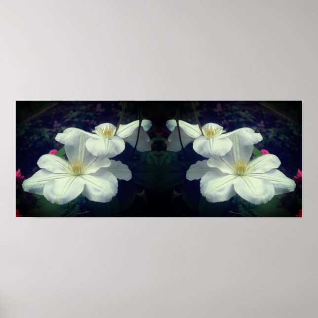 White Clematis Flowers Spegel Abstrakt Poster (Framsidan)