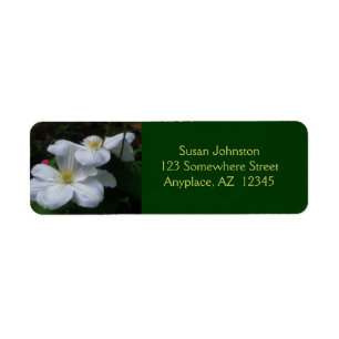 White Clematis Pair Flower Address Label Returadress Etikett