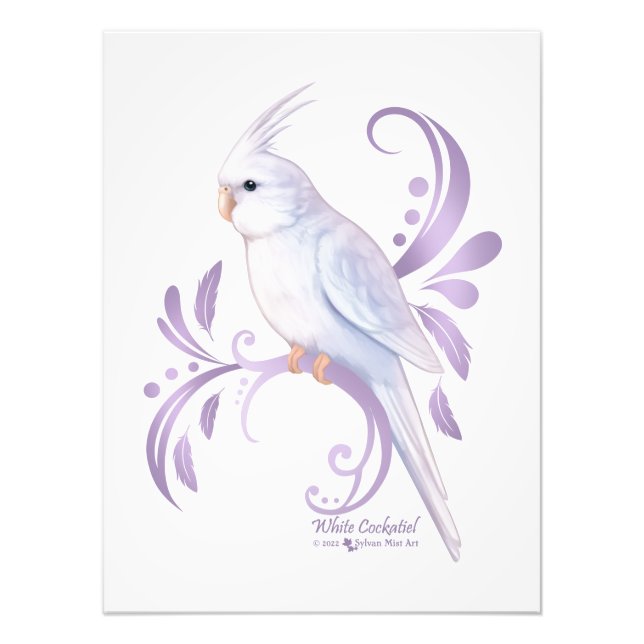 White Cockatiel Fototryck (Framsidan)
