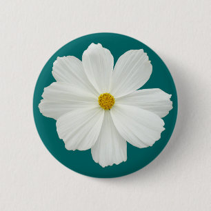 White Cosmos Flower Knapp