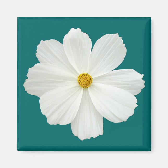 White Cosmos Flower Magnet (Framsidan)