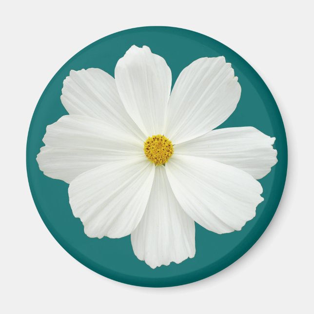 White Cosmos Flower Magnet (Framsidan)