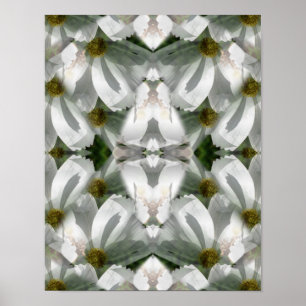 White Cosmos Flowers Abstrakt Art Poster