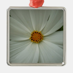 White Cosmos Summer Wildblomma Blommigt Julgransprydnad Metall