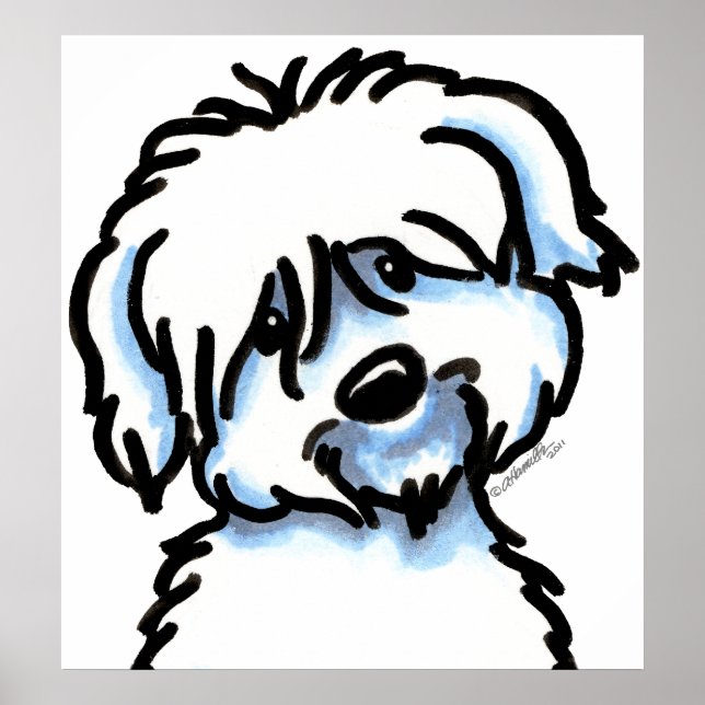 White Coton de Tulear Ansikte Poster (Framsidan)