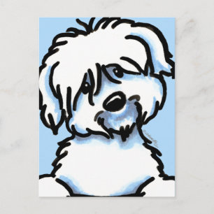 White Coton de Tulear Ansikte Vykort