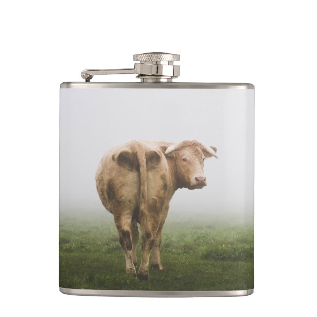 White Cow Bull tittar tillbaka i Foggy Fält Fickplunta (Framsidan)