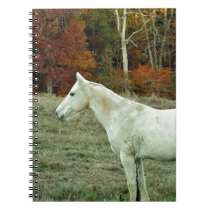 White Cream Horse på hösten Fält Anteckningsbok