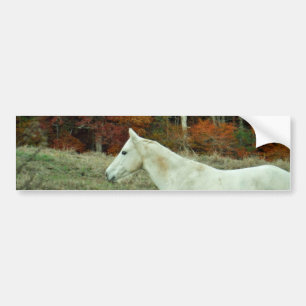 White Cream Horse på hösten Fält Bildekal