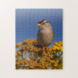 White-Crowned Sparrow Sitta på Tansy Pussel