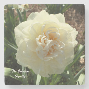 White Daffodil Anpassa din familj Stenunderlägg