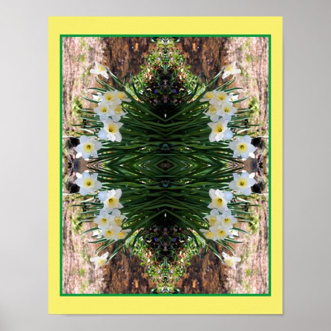White Daffodil Flowers by Brook Spegel Abstrakt Poster (Framsidan)