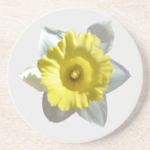 White Daffodil Sandstone Underlägg